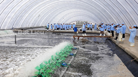 Ngành Nông nghiệp Bạc Liêu: Những định hướng trong năm 2022