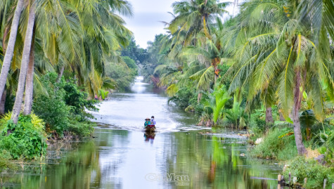 Trở lại lung Bầy Hầy