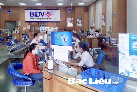 Năm 2022: Tăng cường đầu tư vốn cho các lĩnh vực kinh tế thế mạnh