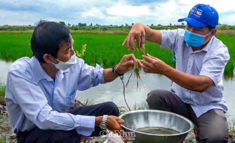 Thêm một năm vượt khó