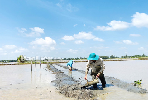 Huyện Vĩnh Lợi: Quyết tâm hoàn thành các chỉ tiêu kinh tế - xã hội trong năm 2022