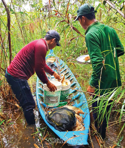 Chuyến ăn ong đầu tiên