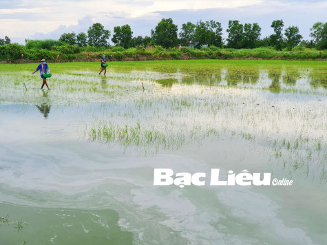 Chi cục Trồng trọt và Bảo vệ thực vật tỉnh: Luôn đồng hành cùng nông dân trong sản xuất