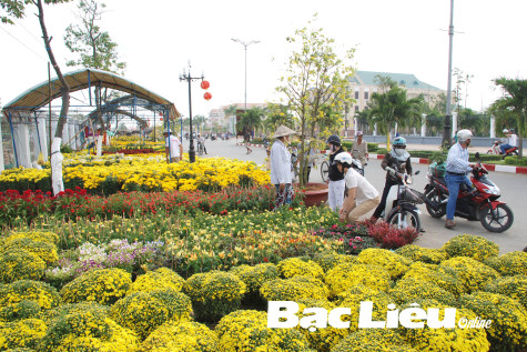 TP. Bạc Liêu: Điểm du xuân hấp dẫn của du khách