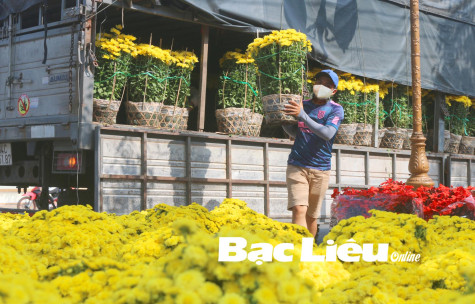 Hoa tết xuống phố