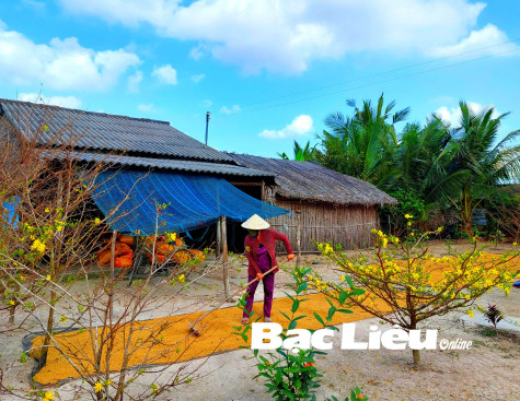 Hồn hậu tết quê