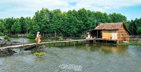 Độc đáo nhà sàn