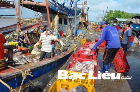 Ra khơi đầu năm, ngư dân nhận lộc biển