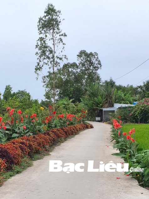 Nắng tháng Giêng…