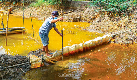 Sản xuất thích ứng với tự nhiên