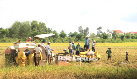 Hội viên, nông dân thi đua sản xuất - kinh doanh giỏi