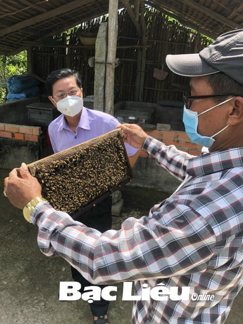 Thị trấn Ngan Dừa: Nỗ lực cho sự phát triển bền vững