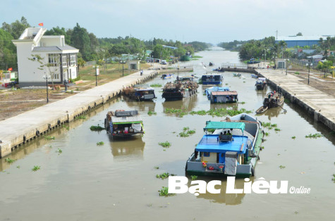 Chủ động sản xuất trước nguy cơ xâm nhập mặn
