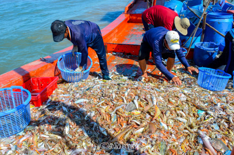 Quỹ hỗ trợ, điểm tựa cho nông dân