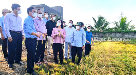 Huyện Vĩnh Lợi: Quyết liệt tăng tốc trong năm “bản lề” 2022