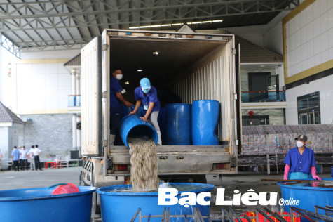 Quy định mới về xử phạt hành chính trong lĩnh vực lao động