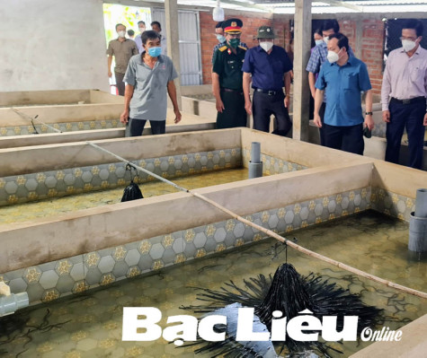 Kỹ thuật chăm sóc lươn giống từ nguồn sinh sản bán nhân tạo