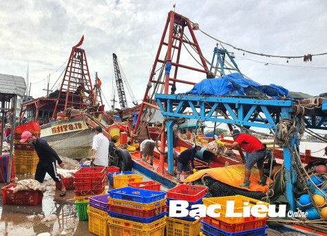 Giá xăng tăng - ngư dân gặp khó