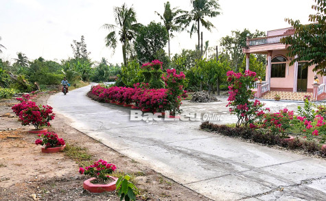 Phát huy vai trò cấp ủy đảng trong xây dựng nông thôn mới