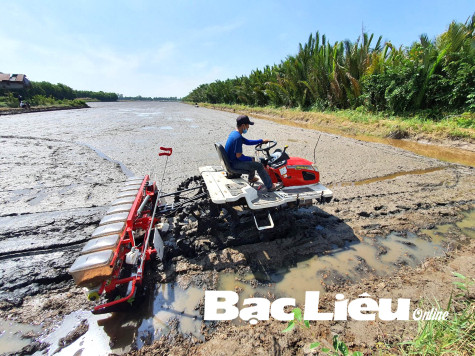 Huyện Hồng Dân: Lan tỏa phong trào Nông dân thi đua sản xuất - kinh doanh giỏi