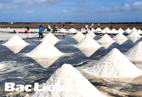 Điệp khúc “trăn trở” của người làm muối