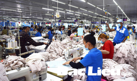 Nhiều tín hiệu lạc quan từ thị trường lao động