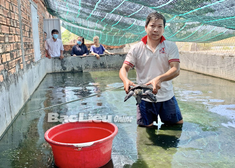 Mai Chúc Ly: Quyết chí khởi nghiệp trên mảnh đất quê hương