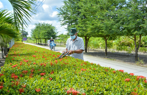 Tỉnh hoàn thành nhiệm vụ xây dựng nông thôn mới có ít nhất 40% số xã đạt chuẩn nông thôn mới nâng cao