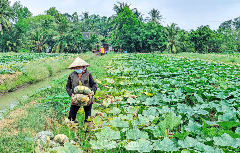 Gần gũi việc học Bác