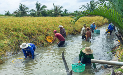 Phát huy tiềm năng, tiến lên nông thôn mới