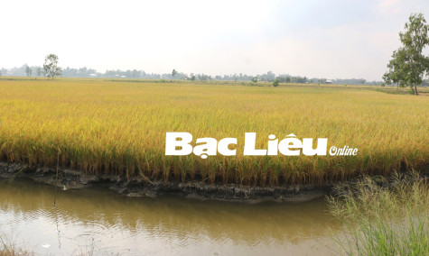 Vướng mắc trong chuyển đổi quyền sử dụng đất nông nghiệp:​ Cần nhanh chóng được tháo gỡ