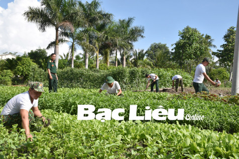 Tăng gia sản xuất ở các đơn vị lực lượng vũ trang tỉnh: Nâng cao đời sống cán bộ, chiến sĩ