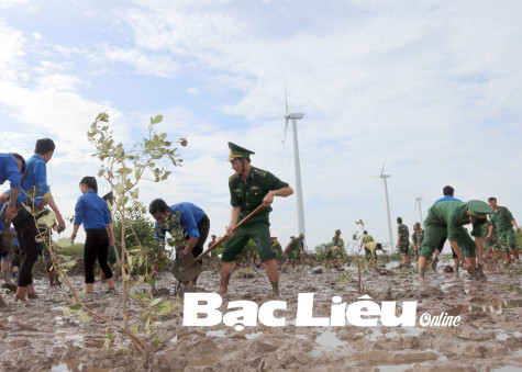 Phục hồi, phát triển 340ha rừng tự nhiên trên bãi bồi ven biển