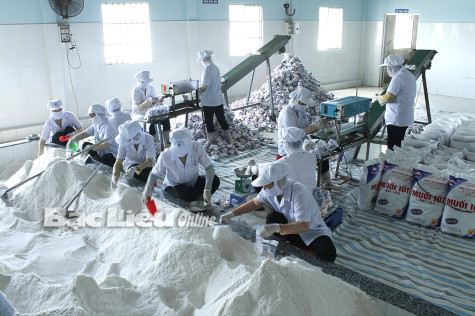 TP. Bạc Liêu: Giải quyết việc làm đảm bảo hiệu quả và bền vững