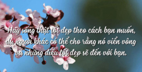 Sống đẹp