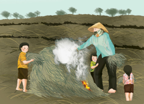 Khói đốt đồng