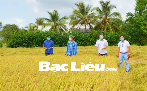 Nâng cao vai trò, vị thế của kinh tế tập thể