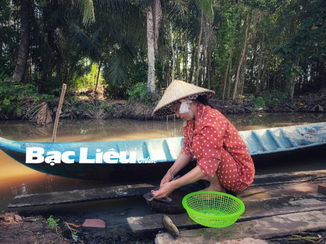 Bờ ao quê hương