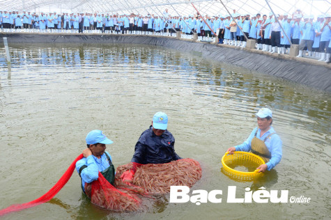 Ứng dụng canh tác thông minh vào sản xuất nông nghiệp: Tăng năng suất và lợi nhuận