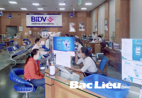 Thực hiện Nghị quyết 11 của Chính phủ: Nhiều giải pháp cho phục hồi và tăng trưởng kinh tế