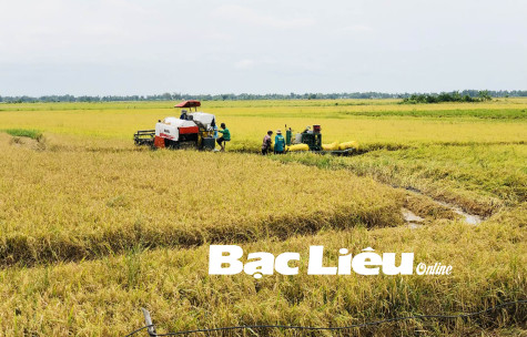 Nông dân Bạc Liêu: Mong được tiếp sức để sản xuất bền vững
