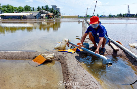 Mưa gây thiệt hại, diêm dân cần hỗ trợ