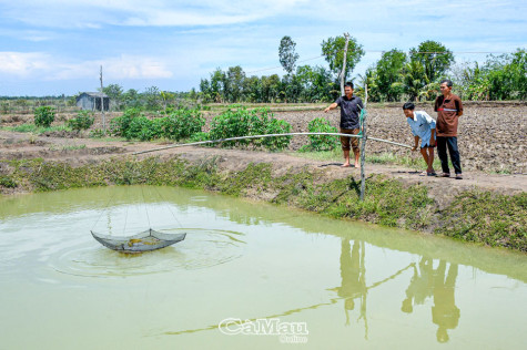 Ðảng viên tiên phong,  gương mẫu