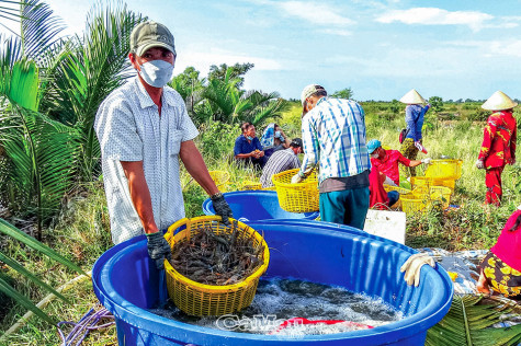 Hiệu quả từ một dự án