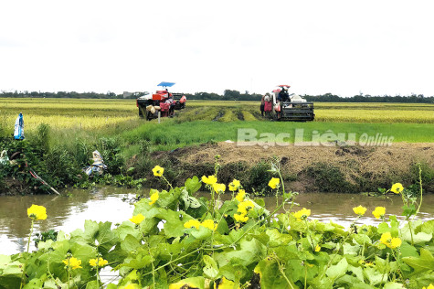 Xây dựng phong trào nông dân sát thực tế, vì lợi ích hội viên