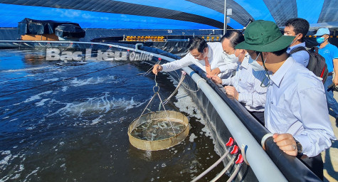 Phát triển bền vững kinh tế biển ở Bạc Liêu và những vấn đề đặt ra
