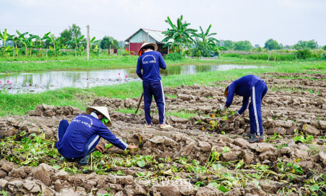 Cai nghiện bắt buộc còn nhiều khó khăn