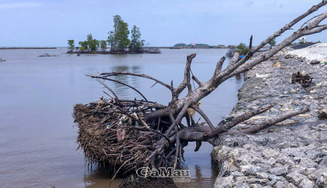 Tăng cường năng lực chỉ đạo, chỉ huy điều hành ứng phó thiên tai