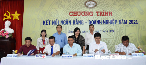 Thực hiện tốt chính sách tín dụng: Góp phần phục hồi và phát triển kinh tế