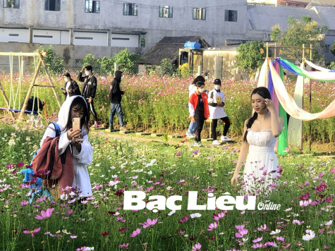 Bạn trẻ lên kế hoạch​ cho kỳ nghỉ lễ